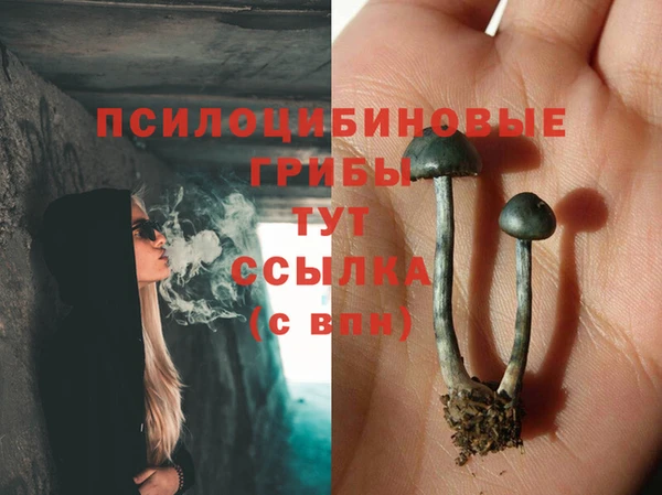 кокаин колумбия Белокуриха