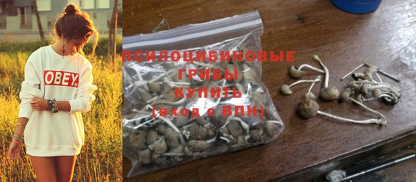 кокаин колумбия Белокуриха